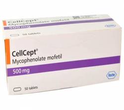CellCept 500 mg (50 pills)